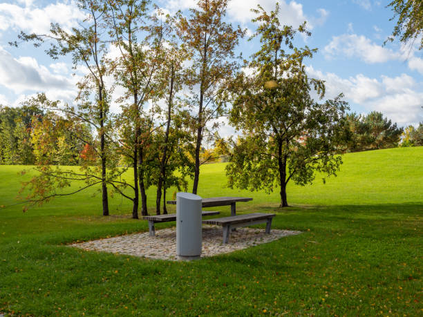 istock Beautiful colorful trees in the autumn park. 1432544679