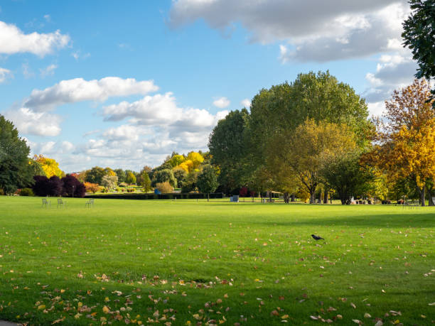 istock Beautiful colorful trees in the autumn park. 1432544689
