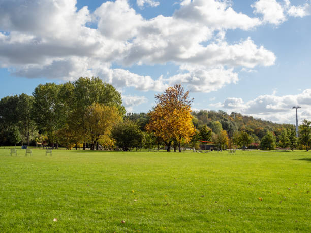 istock Beautiful colorful trees in the autumn park. 1432544694