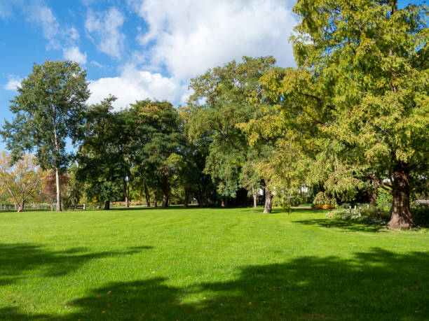 istock Beautiful colorful trees in the autumn park. 1432544726
