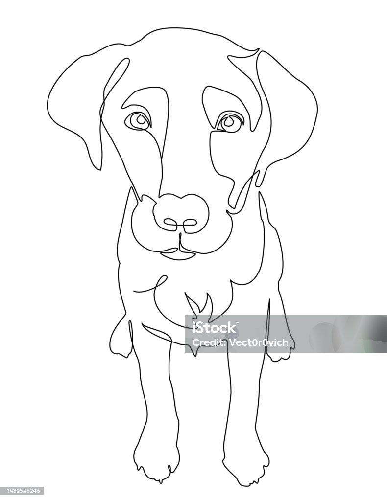 One Single Continuous Line Labrador Puppy Portrait Vector Illustration ...