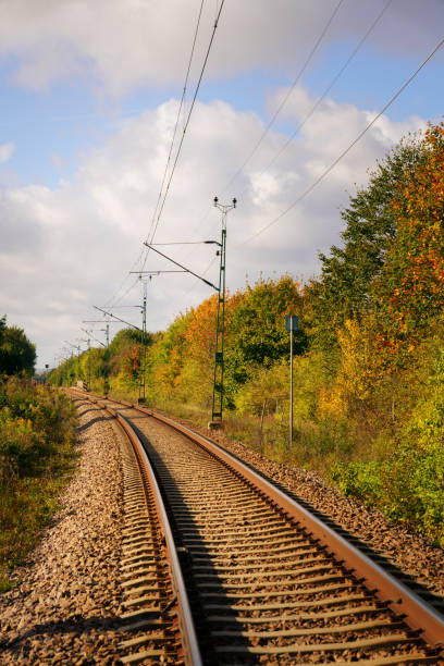 istock Railway track in Sweden with autumn trees. 1432546207