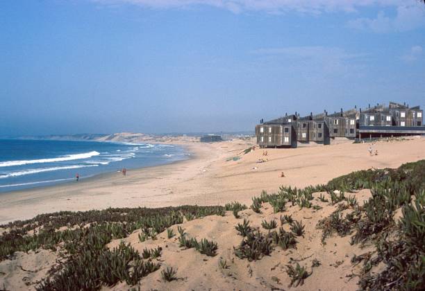 istock Beach section on the California coast 1432546398