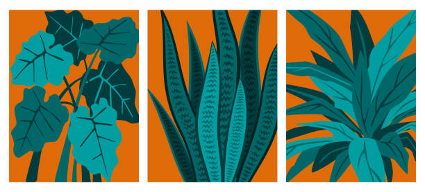 抽象的な葉の装飾観葉植物プリントセット、ベクトルイラスト - soft coral illustrations点のイラスト素材／クリップアート素材／マンガ素材／アイコン素材