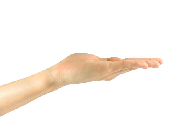 istock Open palm of the hand 1432546761