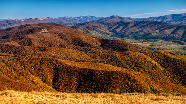 Ukrainian part of the Bieszczady Mountains seen from the Mount Wielka Rawka in the Bieszczady National Park. Colorful autumn mountain landscape Colorful autumn mountain landscape. Ukrainian part of the Bieszczady Mountains seen from the Mount Wielka Rawka in the Bieszczady National Park. bieszczady mountains stock pictures, royalty-free photos & images