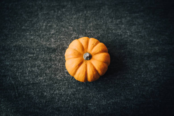 one orange pumpkin on dark green background. isolated pumpkin. halloween and thanksgiving pumpkin. spooky - squash pumpkin orange japanese fall foliage imagens e fotografias de stock