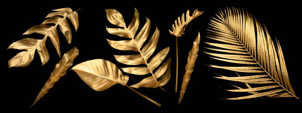 istock Tropical leaves gold and black, can be used as background(Monstera,palm,coconut)fernclipping path 1432549588