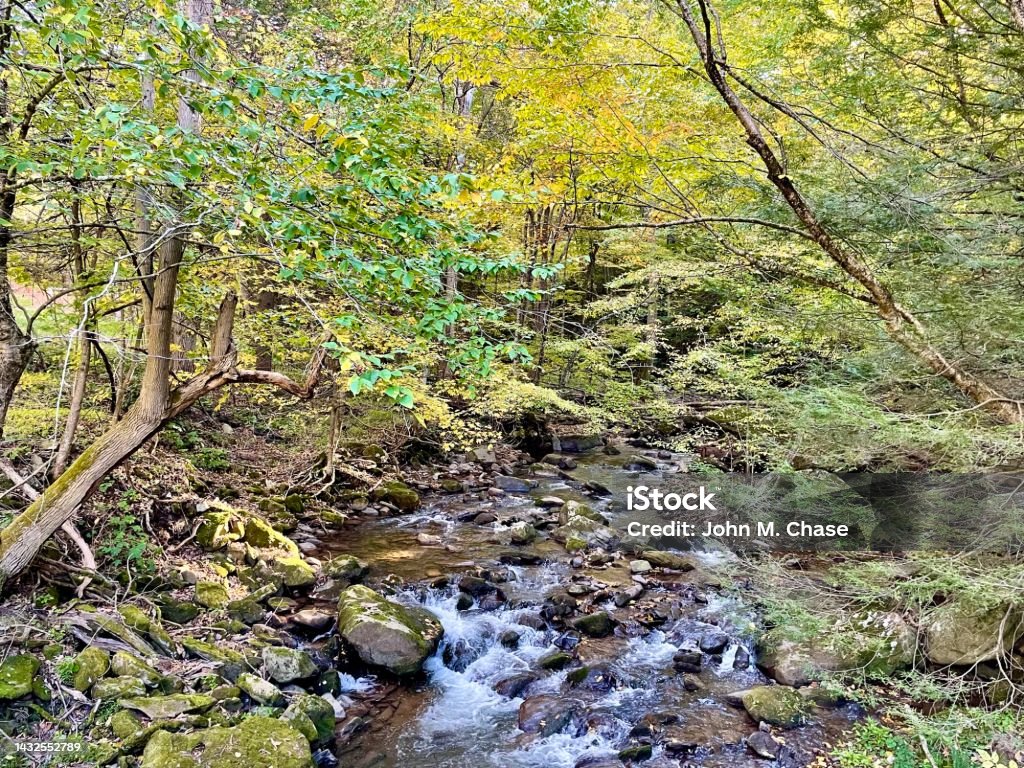 Mountain Stream in Autumn Colors A small mountain stream in western Maryland flows beneath leaves turning yellow in mid-autumn. Adventure Stock Photo