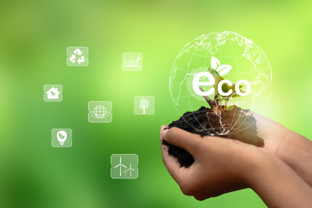 istock Sustainable Green Business Goals Sustainable renewable energy development concept 1432556042