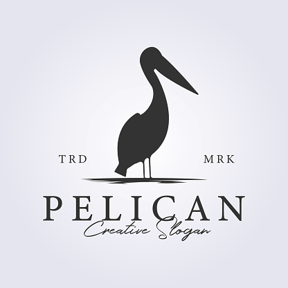 classic retro pelican bird logo vector illustration design