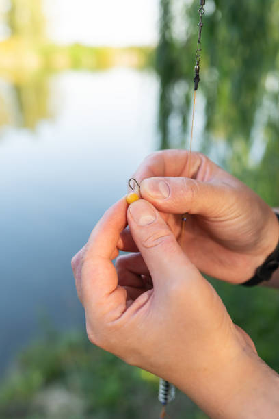 el concepto de cebo para peces. primer plano de la mano de un pescador encordando el cebo en una caña de pescar contra un lago azul. - lure loc fotografías e imágenes de stock