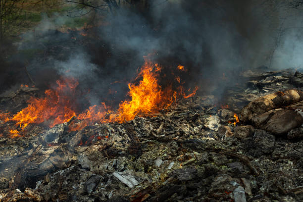 istock Fire in forest. Ignition of grass. Fire and smoke. Damage to environment. 1432557732