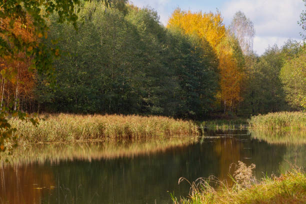 istock autumn landscape with river in sunlight 1432559325