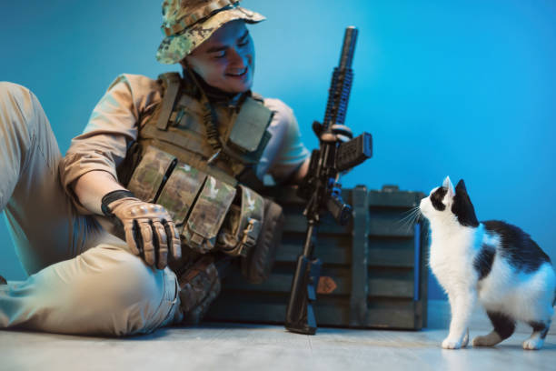 um soldado homem camuflado está sentado no chão por uma caixa de munição com armas ao lado de um pequeno gato - marines camouflage camouflage clothing male - fotografias e filmes do acervo