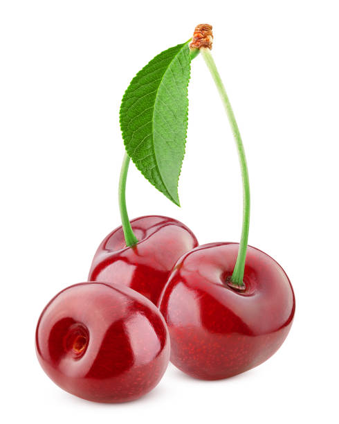 istock cherry isolated on white background, full depth of field, clipping path 1432560454