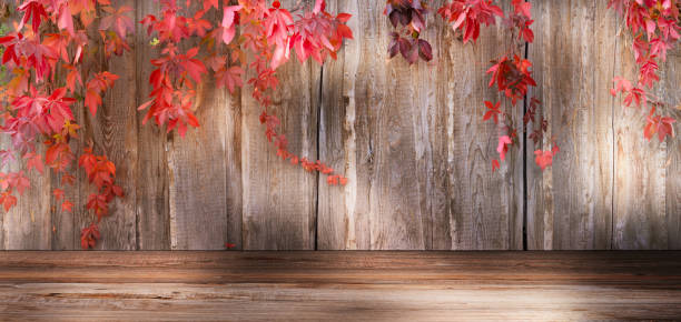 istock rustic autumnal wooden 3d room with frame from colored leaves, rural autumn background wallpaper with copy space for product presentation 1432569021