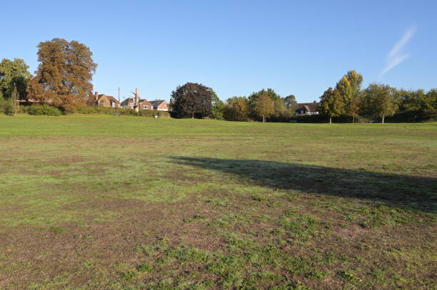 istock English park in Surrey on a cold fall morning in October 2022. 1432569076