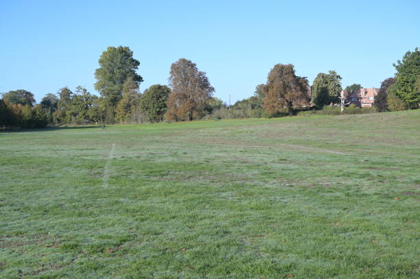 English park in Surrey on a cold fall morning in October 2022.