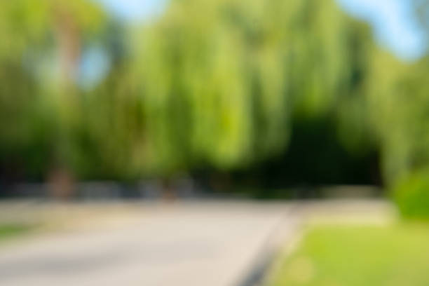 istock Abstract blur city park bokeh for a background 1432569234