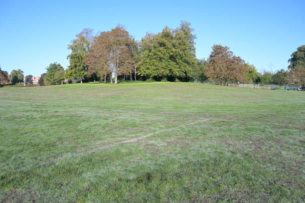 istock English park in Surrey on a cold fall morning in October 2022. 1432569254