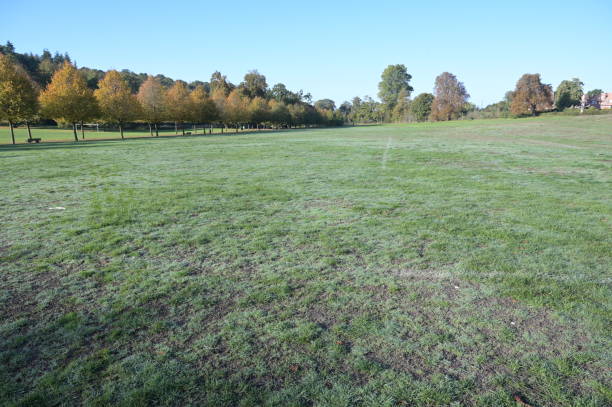istock English park in Surrey on a cold fall morning in October 2022. 1432569349