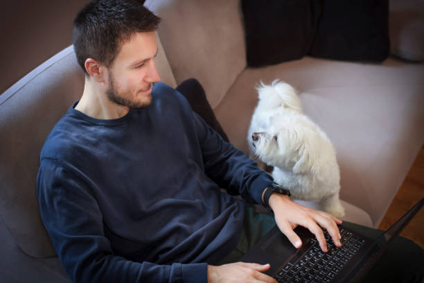 istock Young businessman working from home on computer and typing on the laptop keyboard while his dog watching him 1432571158