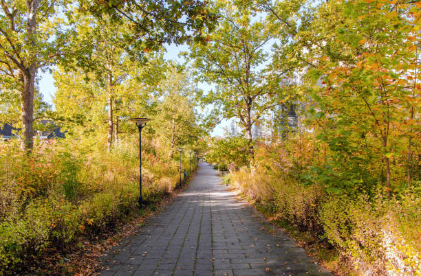 istock Cobblestone road with autumn trees. 1432571240