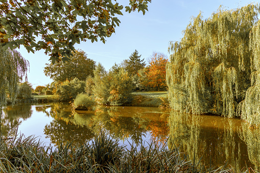 Beautiful colorful autumn lake surrounded by autumn follage. Autumn background.