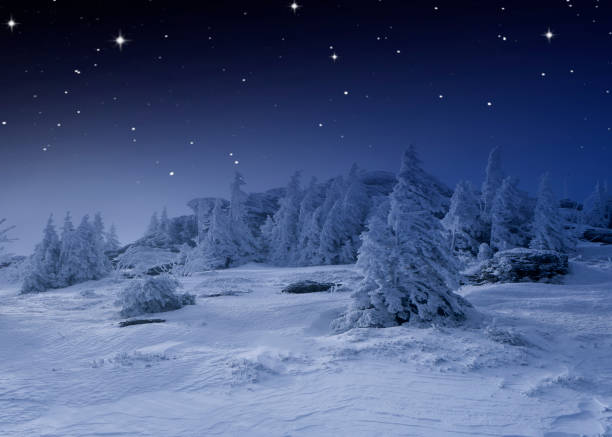 istock Snowy fir trees in a cold winter night 1432573857