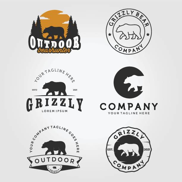 illustrazioni stock, clip art, cartoni animati e icone di tendenza di set di walking bear hunter logo vector design, emblem bundle of bear grizzly vintage e line art illustration - bear hunting