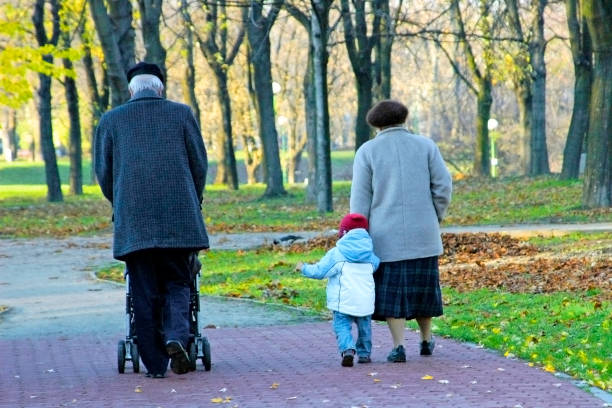 dziadkowie i wnuk spacerujący po parku 16 listopada 2006 roku w warszawie - senior adult outdoors physical activity mode of transport zdjęcia i obrazy z banku zdjęć