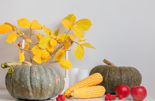 Autumn squash, pumpkin and gourds arranged on a bench in downtown Lenox Massachusetts.