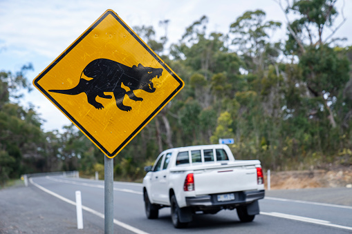 Australian road sign about Tasmanian Devils potentially being sighted on roads in the area.