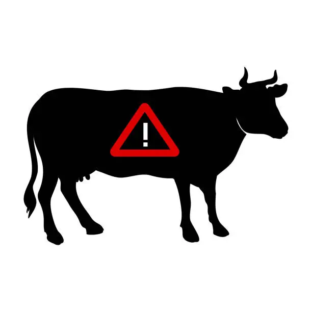 Vector illustration of Attention danger cow on the road. Signboard for drivers or warning