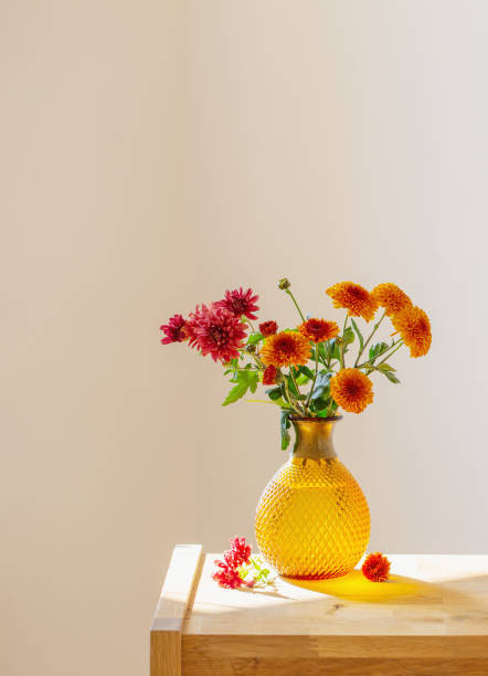 istock chrysanthemums in glass vase on white background 1432579669