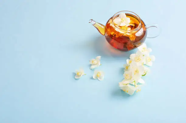 Photo of jasmine tea in glass teapot on blue background