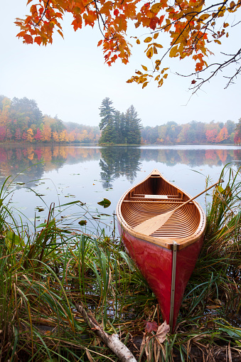 Red wooden canoe on calm lake with trees in fall color and maple branches above during autumn