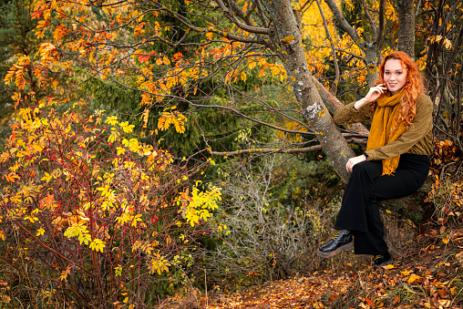 A young red haired woman sitting a tree in an autumn park.