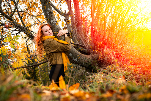 A young red haired woman hanging a tree trunk in an autumn park.