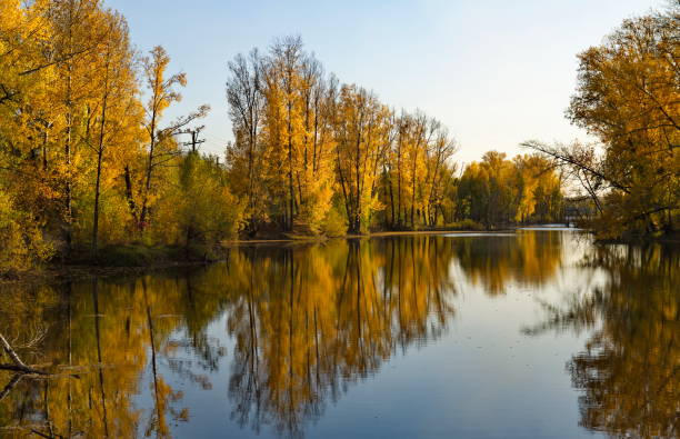 istock Autumn calm on a sunny day 1432584682
