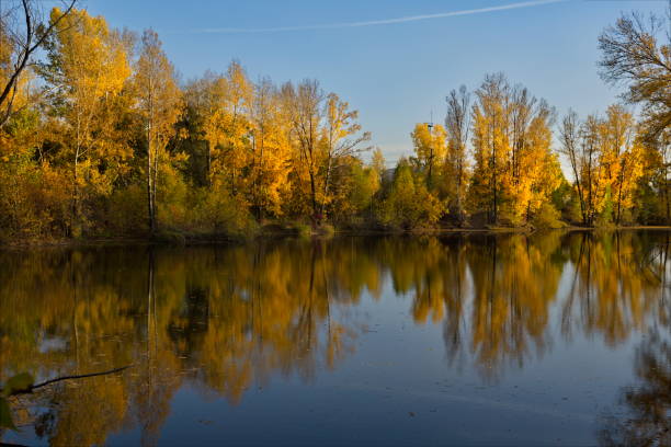 Russia. South of Western Siberia, Kuzbass. A windless sunny evening at the Pritomsky quarries of Novokuznetsk in the middle of autumn.