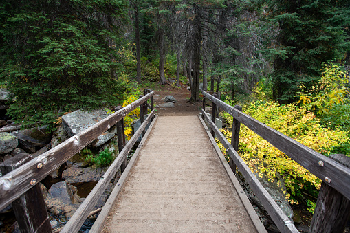 Hiking in the mountains near McCall, Idaho