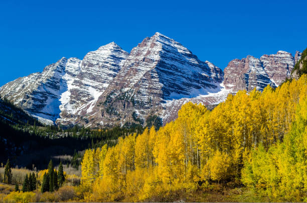 istock Fall Foliage in front of the Maroon Bells in Aspen, CO 1432593198