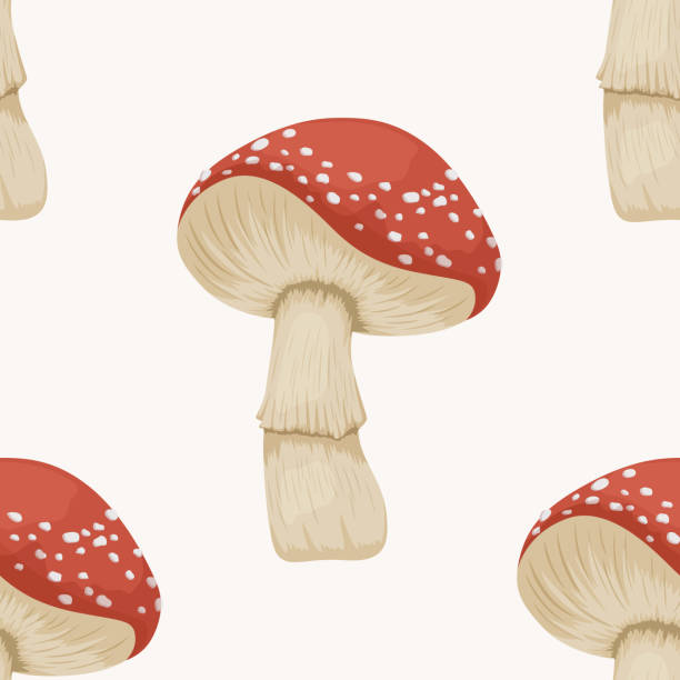 유독 한 먹을 수없는 버섯이있는 벡터 이음새없는 패턴. 손으로 그린 만화 붉은 파리 아갈릭 버섯은 흰색에 고립되어 있습니다. 아마니타 무스카리아, 플라이 아갈릭 버섯 - 알광대버섯 stock illustrations