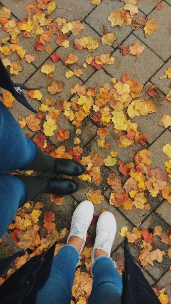 istock Standing on fallen tree leaves in autumn 1432596442