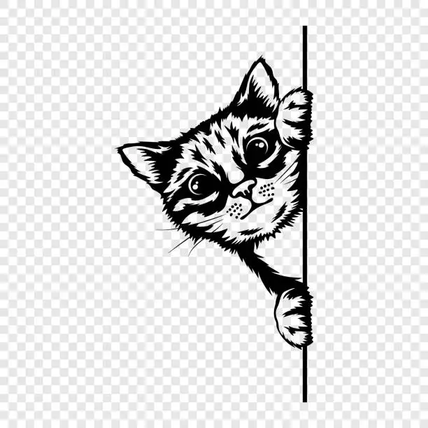 Vector illustration of Vector Monochrome Hand Drawm Black, White Hiding Peeking Kitten. Peeking Kitten Head with Paw. Cat Peeks Out from Around the Surface, Corner. Pet Kitten Curiously Peeking Behind White Background