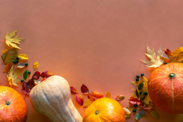 фоновое украшение на день благодарения из сухих листьев, черных ягод и тыквы на оранжевом фоне. плоская укладка, вид сверху с пространством  - пространство стоковые фото и изображения