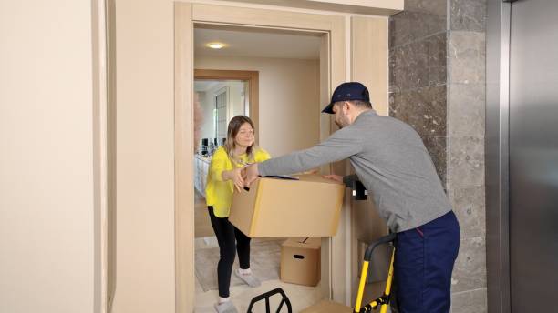 Cargo Delivery Delivery Person, Cargo Container, Hand Truck, Delivering, Door mover delivery person box hand truck stock pictures, royalty-free photos & images