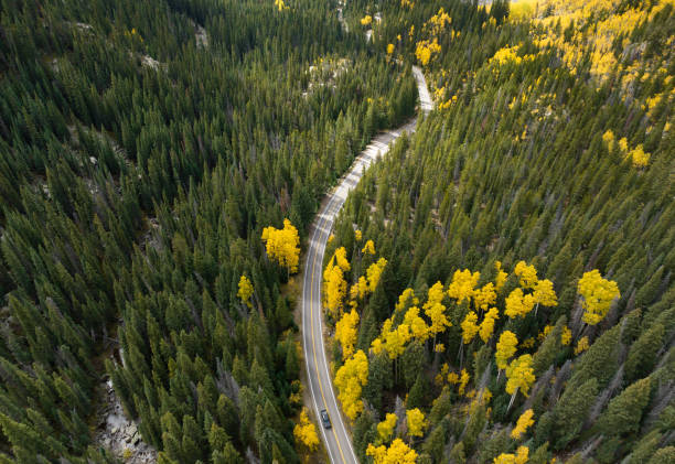 istock Colorado Rocky Mountains During Fall Season 1432602707
